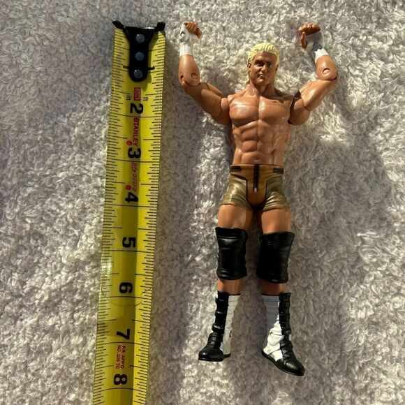 2010 Mattel WWE‎ Wrestling Dolph Ziggler Figure WWF WCW - Picture 5 of 5